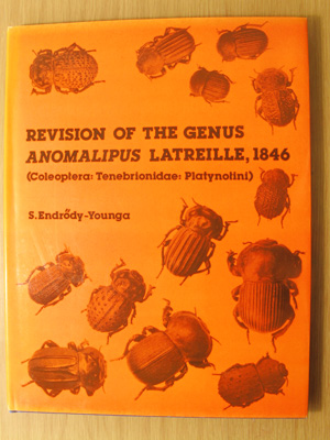 Revision of the Genus Anomalipus Latreille, 1846.